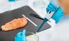 2026食物检测行业全